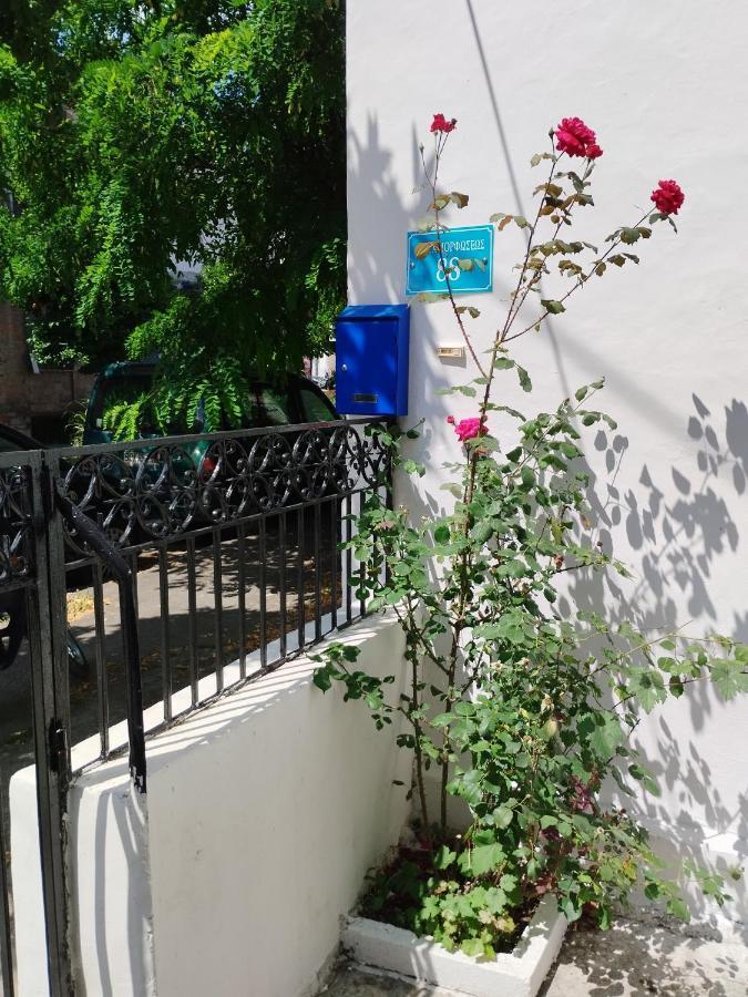Апартаменты Η Ελπίδα Και Η Γιάννα Ξεκίνησαν Ένα Χώρο Cute Волос Экстерьер фото